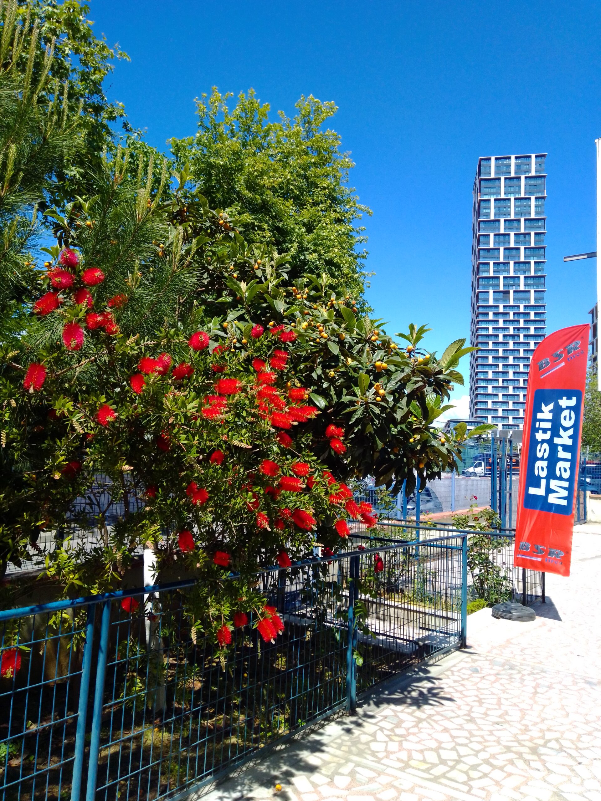 Welcome to BASARAN TIRES – Istanbul